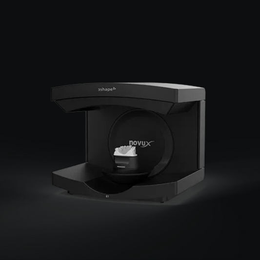 Model Scanning